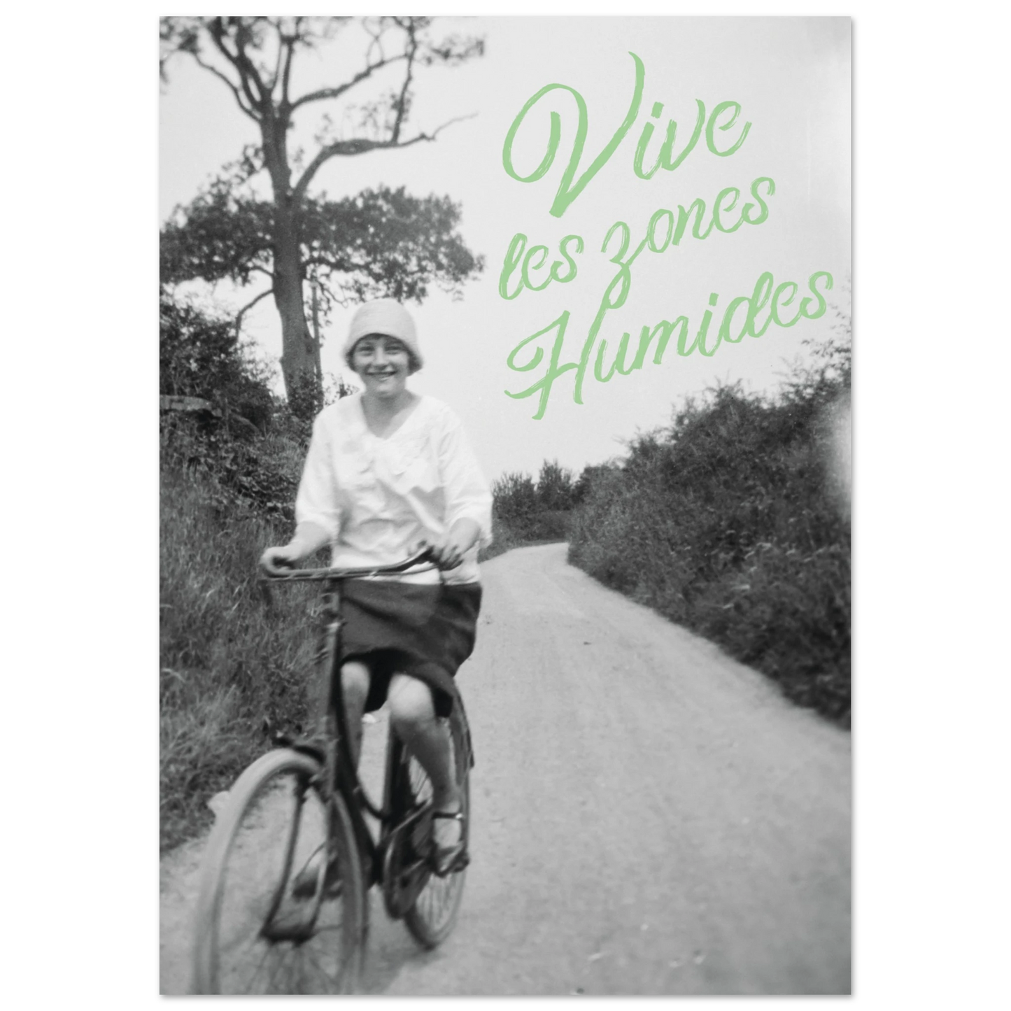 1ccebc9a-98d1-4f40-bb8a-5d5584de67a3