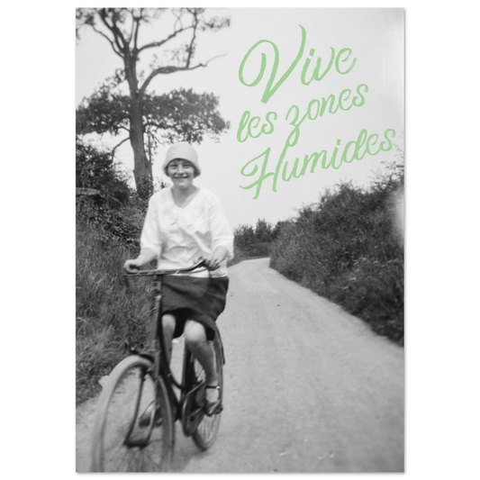 1ccebc9a-98d1-4f40-bb8a-5d5584de67a3